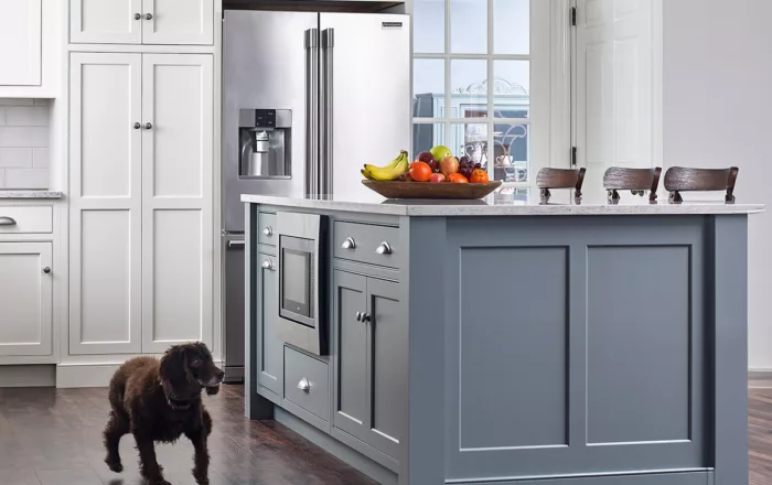 Kitchen with a dog walking near semi-custom cabinets