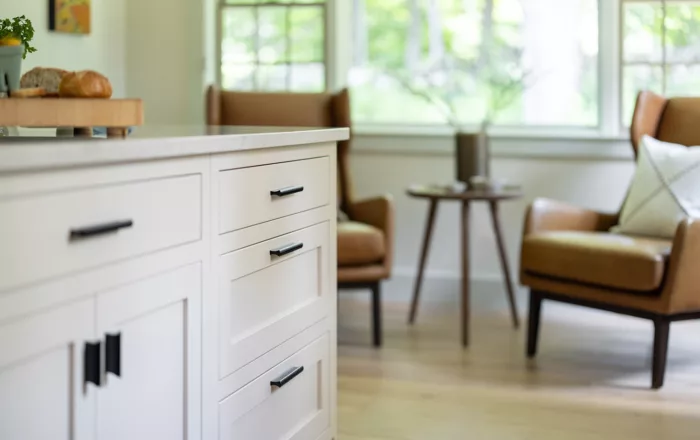 Cabinets with shaker style doors